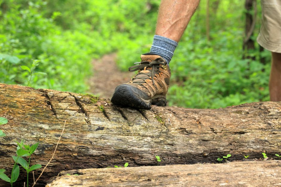 A hiking boot stepping over a log on a forest trail